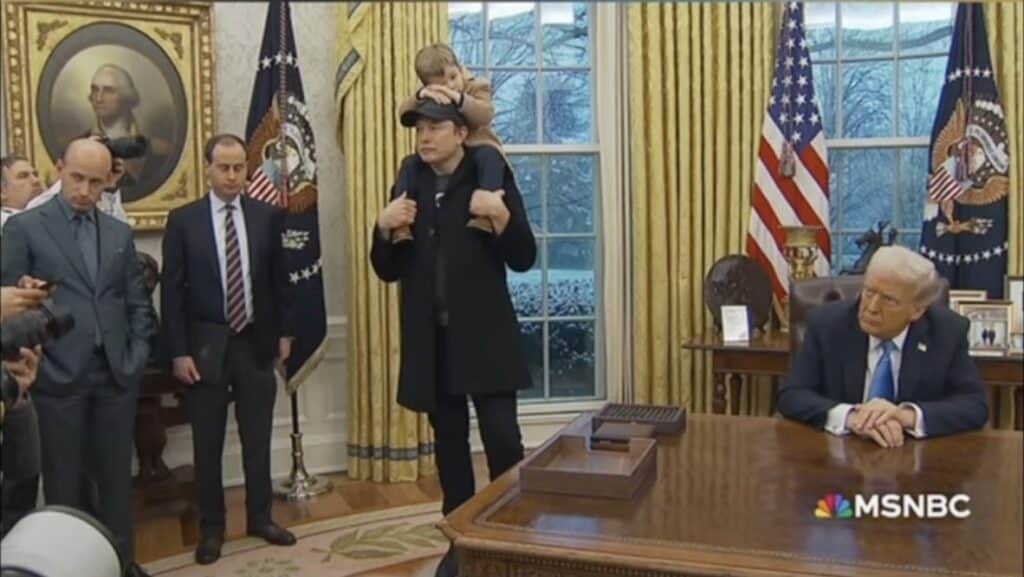 gekke musk en trump